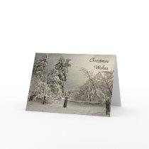 Wintry Snowy Trees - Greeting and Note Card