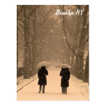 Wintry Walk Brooklyn Postcard