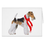Wire Fox Terrier in a Scarf Cards