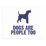 Wire Fox Terrier Postcard