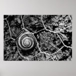 wired pace print