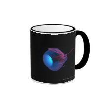Wireframe of the muscles of the eye mugs