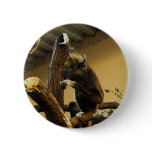 Wisbon buttons