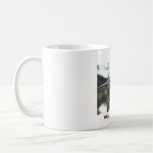 Wisconsin Dells Bird Mug