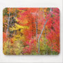 Wisconsin Fall Colours Mouse Pad