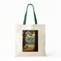 Wisdom and Knowledge bags