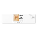 Wisdom Is The Daughter Of Experience (da Vinci) Bumper Stickers