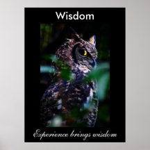 Wisdom Poster