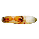 Wisdom's Vision Skateboard Deck