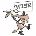WISE ASS WISEASS FUNNY CARTOON DONKEY photo sculptures
