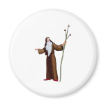 Wise Male Witch magnets