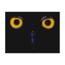 Wise Old Owl Eyes Postcards