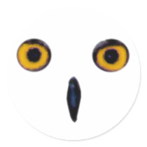 Wise Old Owl Eyes Sticker