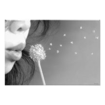 Wish Photograph