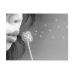 Wish postcards