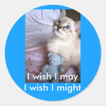 wish upon a star Sticker