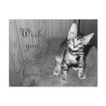 Wish you were here - cute kitten postcard