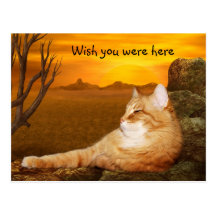 Wish you were here kitty post card