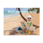 Wish You Were Here!