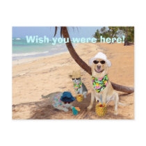 Wish You Were Here!