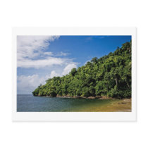 wishes ashore post cards