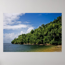 wishes ashore print