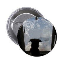 Wishful Thinking ~ button