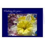 Wishing for You warm sunny happy days! Cards