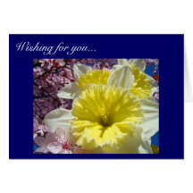 Wishing for You warm sunny happy days! Cards