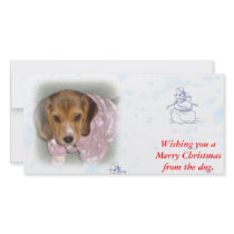 Wishing you a Merry Christmas from the dog.