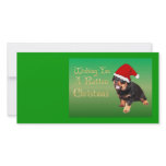 Wishing You A Rotten Christmas photo cards