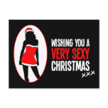 Wishing You A Very Sexy Christmas postcards