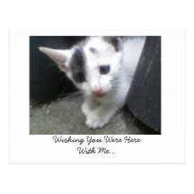 Wishing You Were Here With Me... Post Card