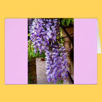 Wisteria 1 cards