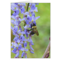 Wisteria and a bee greeting cards