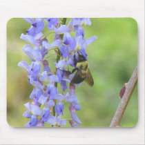 Wisteria and a bee mousepad