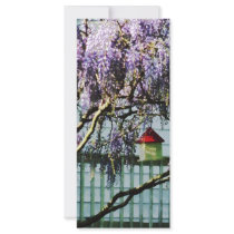 Wisteria and Birdhouse