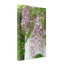 Wisteria ~ Canvas Stretched Canvas Print