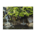 Wisteria Water Falls postcards