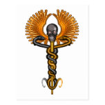 Witch Doctor Caduceus Post Cards
