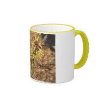 Witch Hazel Mugs