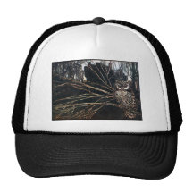 Witch in Owl Form Mesh Hats