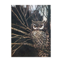 Witch in Owl Form