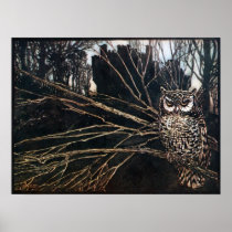 Witch in Owl Form