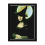 Witchy Woman  Mona Lisa Post Card