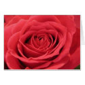 With Love cards