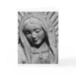 With Sympathy and Love Greeting Card