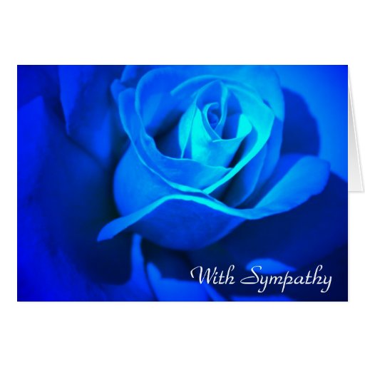 With Sympathy Blue Rose Greeting Card Zazzle