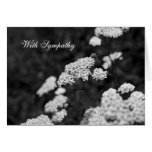 With Sympathy Card