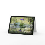 With Sympathy, Simply stated condolences cards